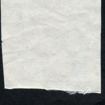 Papier du monde CDQV Coréen n.15 - 38/42g - F:75 x 143 cm - Naturel