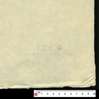 Papier du monde CDQV - Takogami B - 43g - F:68 x 98 cm
