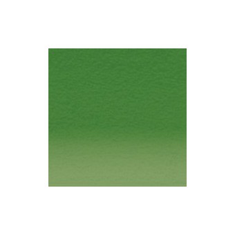 Crayon de couleur DERWENT Inktense DERWENT Inktense:1550-vert printemps
