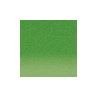 Crayon de couleur DERWENT Inktense DERWENT Inktense:1530-vert retro