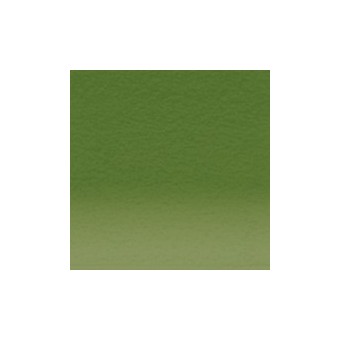 Crayon de couleur DERWENT Inktense DERWENT Inktense:1510-hetre vert
