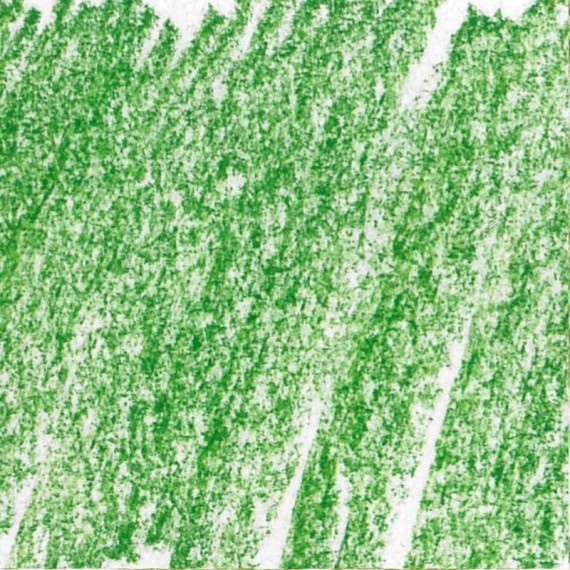 Crayon pastel CARAN D'ACHE pastel Caran d'Ache:234-vert mousse moyen 30%