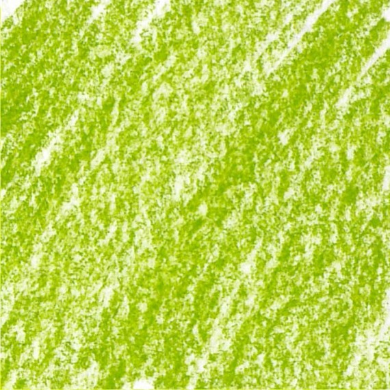 Crayon pastel CARAN D'ACHE pastel Caran d'Ache:232-vert mousse moyen 10%
