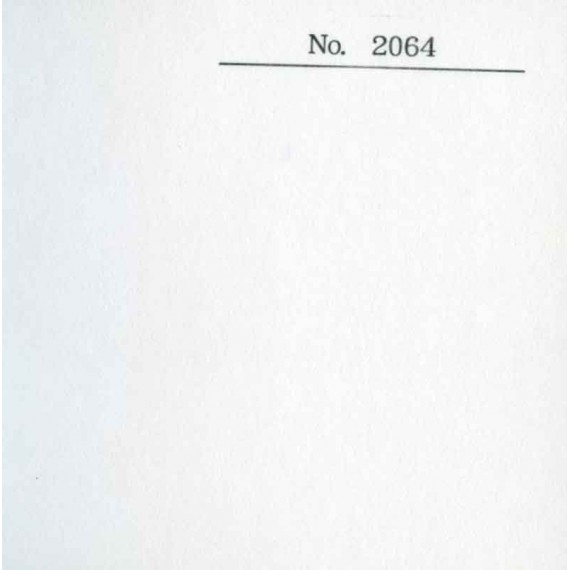 Papier du monde CDQV Torinoko toku-atsukuchi 2064 - 170g - F:109.1 x 79 cm - Blanc 