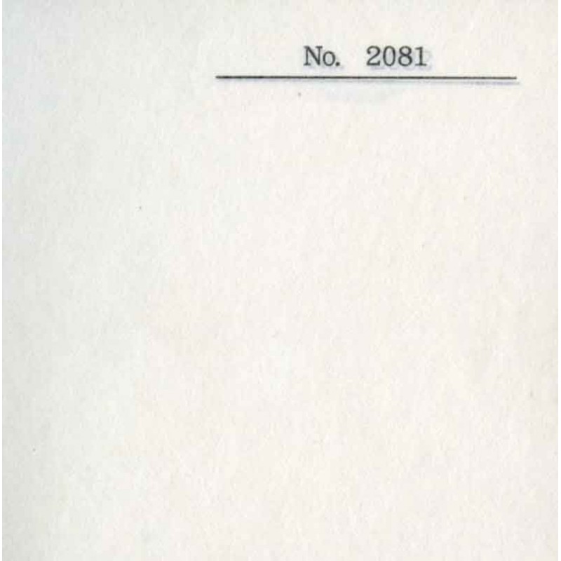 Papier du monde CDQV Kouzoshi N.2081 - 50g - F:97 x 65 Ccm  - White 
