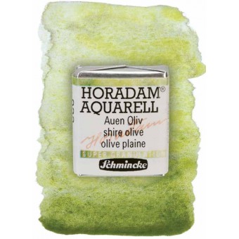 Aquarelle Schmicke supergranulante Taille:1/2 Godet Couleurs:Olive Plaine-932
